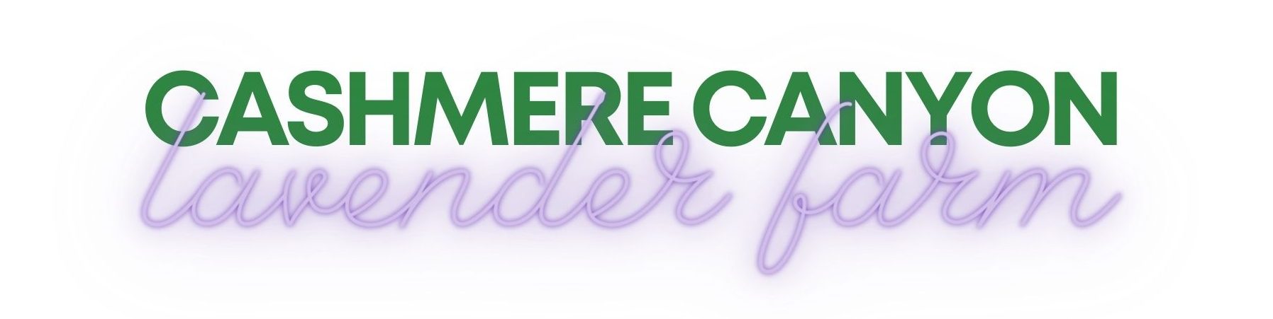 Cashmere Canyon Lavender Farm Logo